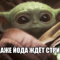 Typicallsparrow