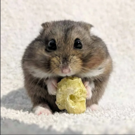 HomaSpank