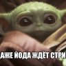 Typicallsparrow